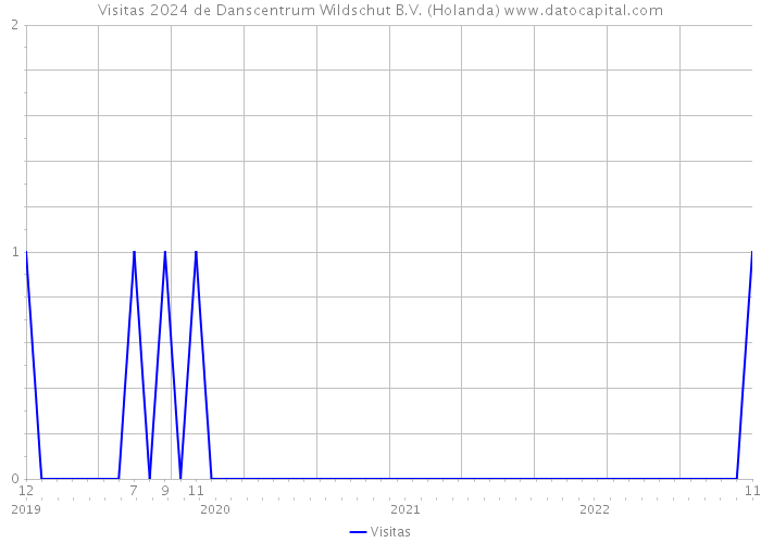 Visitas 2024 de Danscentrum Wildschut B.V. (Holanda) 