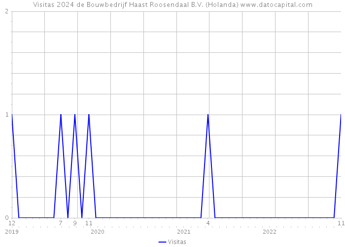 Visitas 2024 de Bouwbedrijf Haast Roosendaal B.V. (Holanda) 