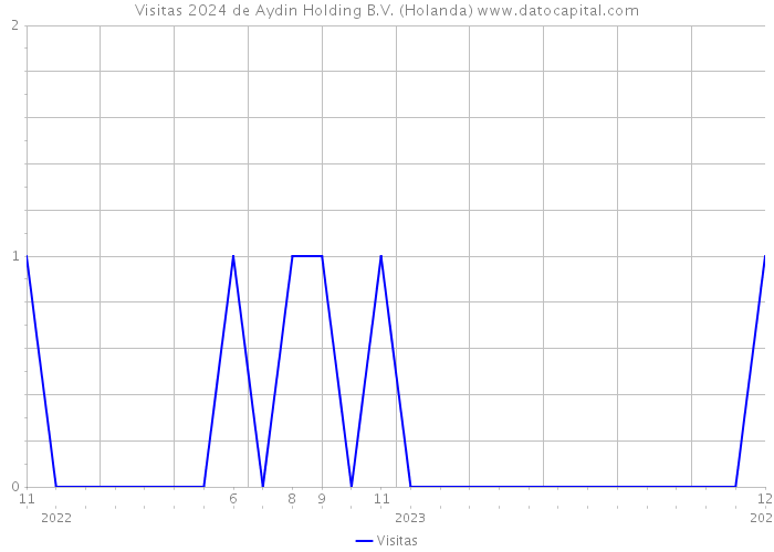 Visitas 2024 de Aydin Holding B.V. (Holanda) 