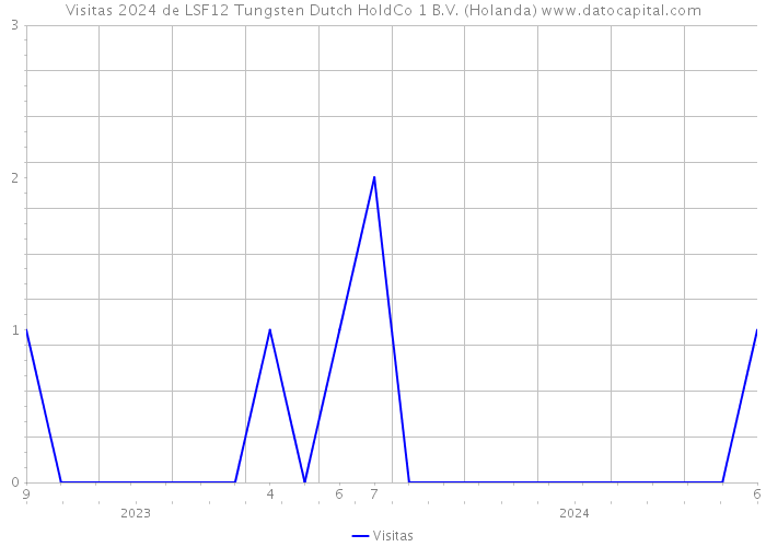 Visitas 2024 de LSF12 Tungsten Dutch HoldCo 1 B.V. (Holanda) 