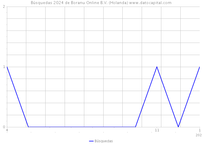 Búsquedas 2024 de Boranu Online B.V. (Holanda) 