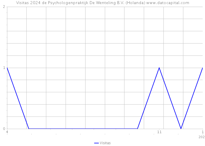 Visitas 2024 de Psychologenpraktijk De Wenteling B.V. (Holanda) 