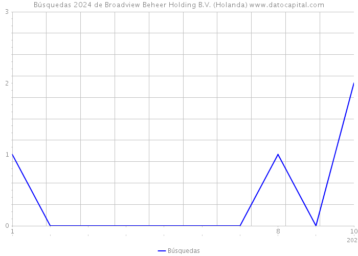 Búsquedas 2024 de Broadview Beheer Holding B.V. (Holanda) 