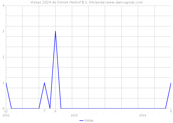 Visitas 2024 de Kliniek Heihof B.V. (Holanda) 