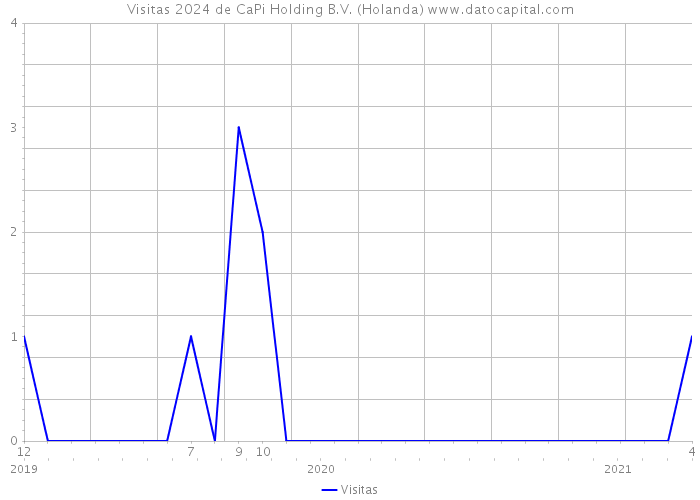 Visitas 2024 de CaPi Holding B.V. (Holanda) 