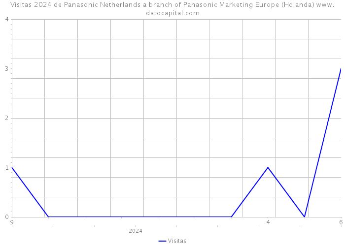 Visitas 2024 de Panasonic Netherlands a branch of Panasonic Marketing Europe (Holanda) 