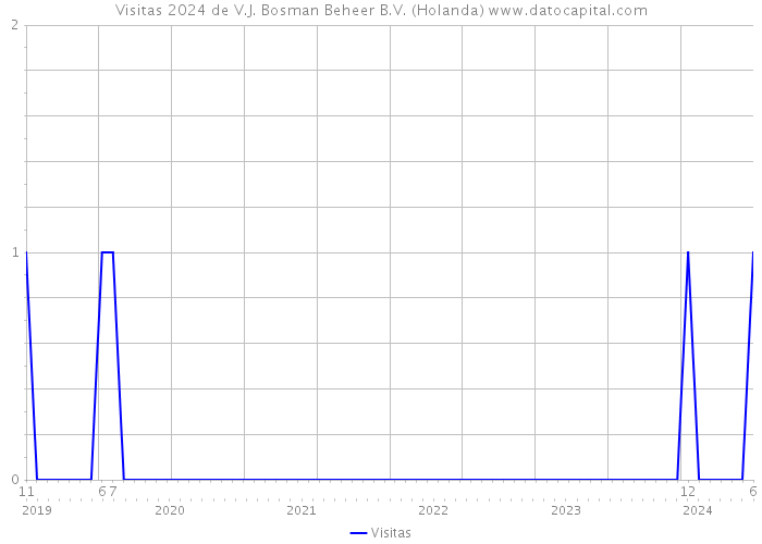 Visitas 2024 de V.J. Bosman Beheer B.V. (Holanda) 