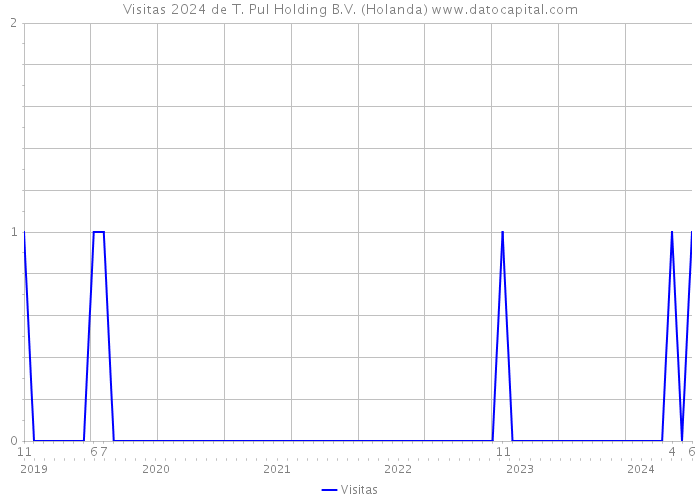 Visitas 2024 de T. Pul Holding B.V. (Holanda) 