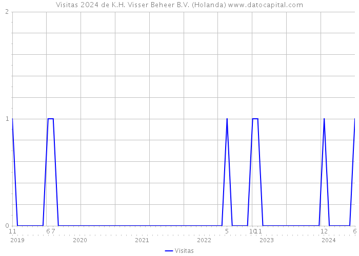 Visitas 2024 de K.H. Visser Beheer B.V. (Holanda) 