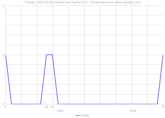 Visitas 2024 de Bornerbroek Parket B.V. (Holanda) 