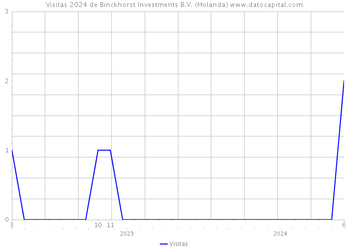 Visitas 2024 de Binckhorst Investments B.V. (Holanda) 
