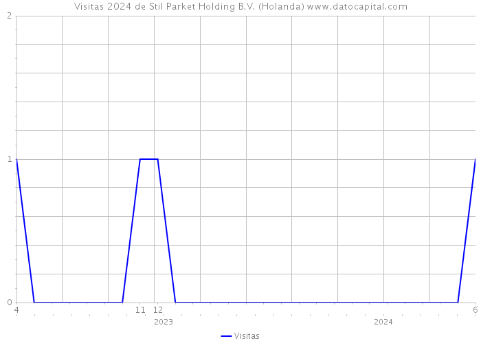 Visitas 2024 de Stil Parket Holding B.V. (Holanda) 