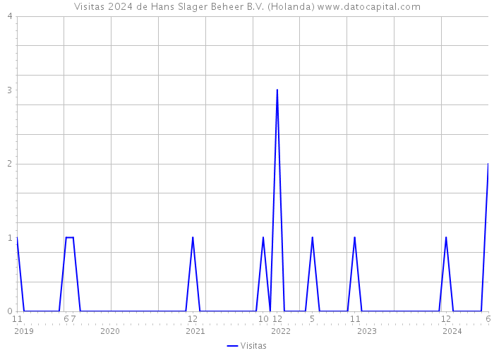 Visitas 2024 de Hans Slager Beheer B.V. (Holanda) 