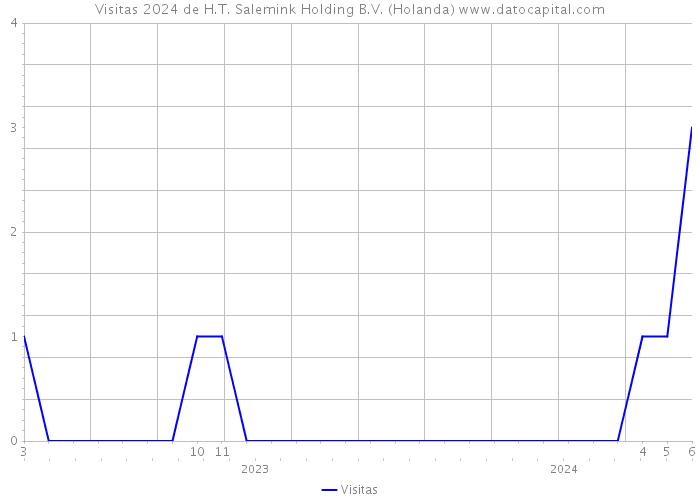 Visitas 2024 de H.T. Salemink Holding B.V. (Holanda) 