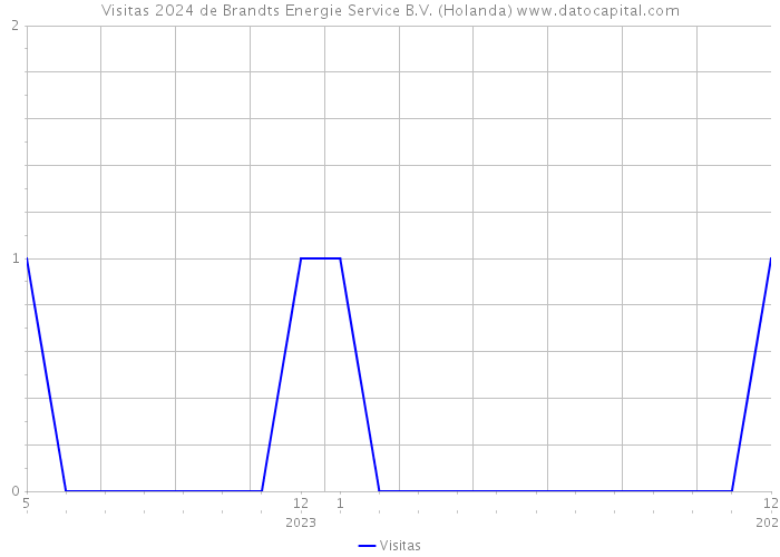 Visitas 2024 de Brandts Energie Service B.V. (Holanda) 