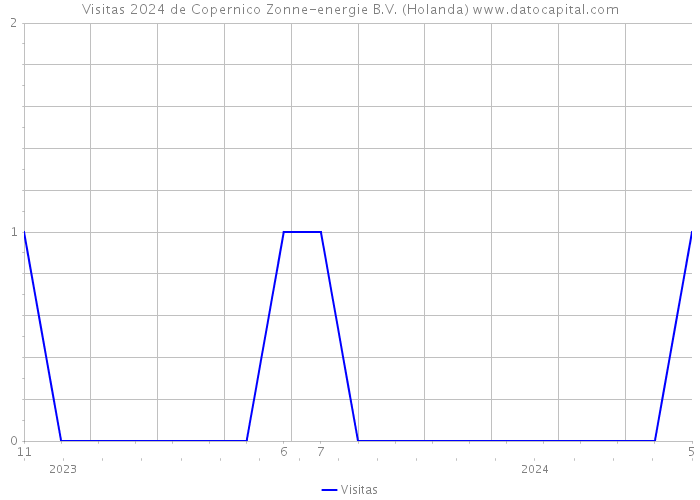 Visitas 2024 de Copernico Zonne-energie B.V. (Holanda) 