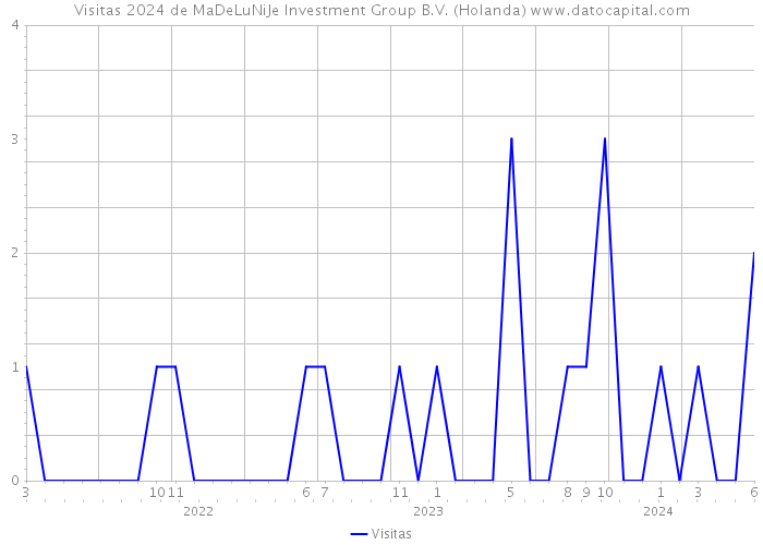 Visitas 2024 de MaDeLuNiJe Investment Group B.V. (Holanda) 