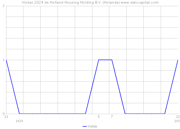 Visitas 2024 de Holland Housing Holding B.V. (Holanda) 