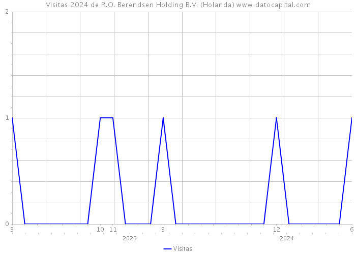 Visitas 2024 de R.O. Berendsen Holding B.V. (Holanda) 