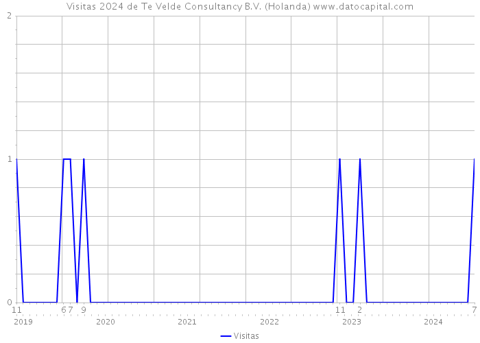 Visitas 2024 de Te Velde Consultancy B.V. (Holanda) 