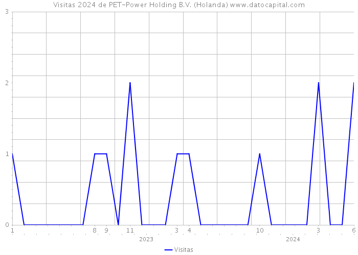 Visitas 2024 de PET-Power Holding B.V. (Holanda) 