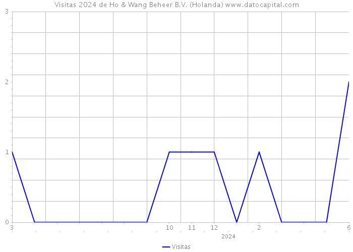 Visitas 2024 de Ho & Wang Beheer B.V. (Holanda) 