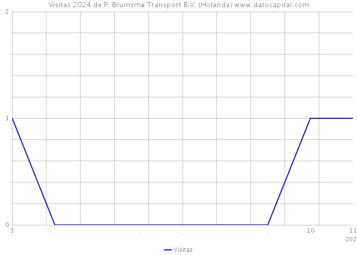 Visitas 2024 de P. Bruinsma Transport B.V. (Holanda) 
