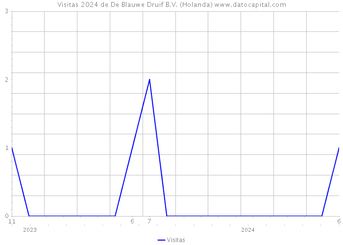 Visitas 2024 de De Blauwe Druif B.V. (Holanda) 