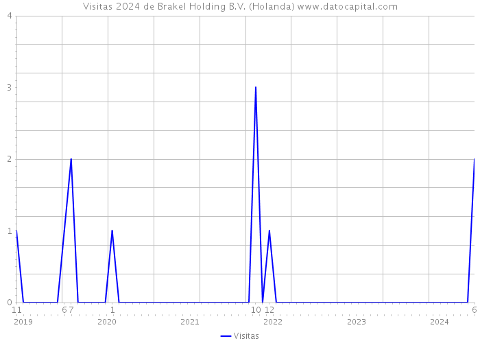 Visitas 2024 de Brakel Holding B.V. (Holanda) 