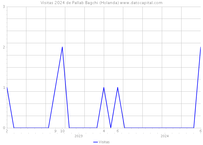 Visitas 2024 de Pallab Bagchi (Holanda) 