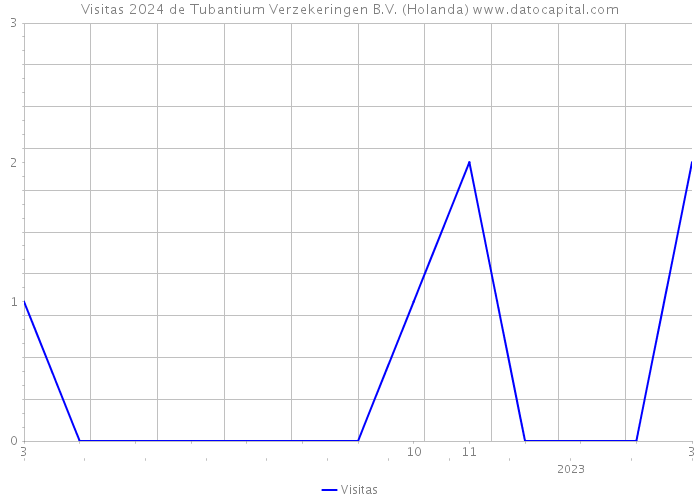 Visitas 2024 de Tubantium Verzekeringen B.V. (Holanda) 