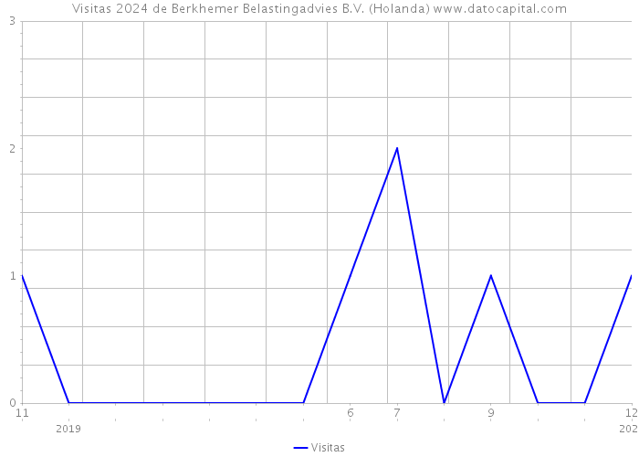 Visitas 2024 de Berkhemer Belastingadvies B.V. (Holanda) 