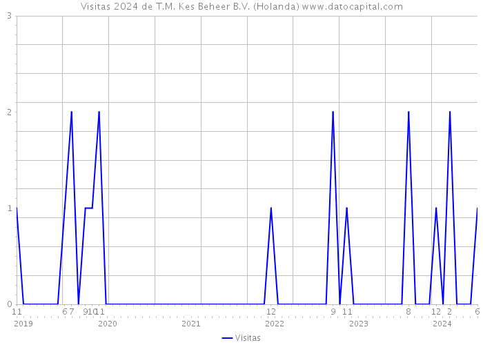 Visitas 2024 de T.M. Kes Beheer B.V. (Holanda) 