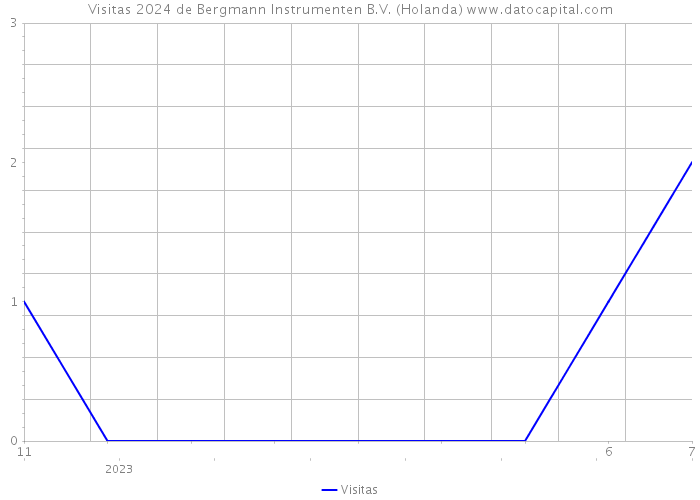 Visitas 2024 de Bergmann Instrumenten B.V. (Holanda) 