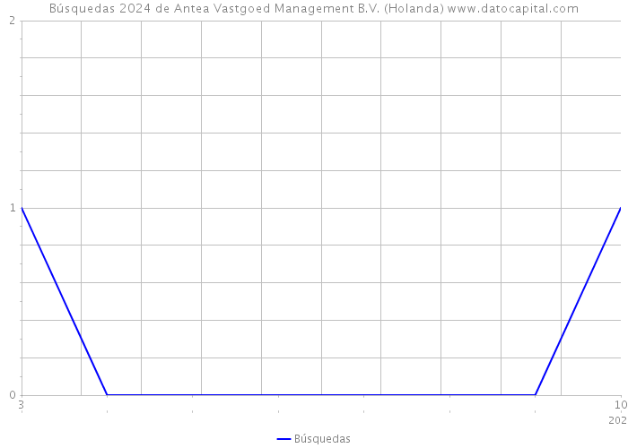 Búsquedas 2024 de Antea Vastgoed Management B.V. (Holanda) 