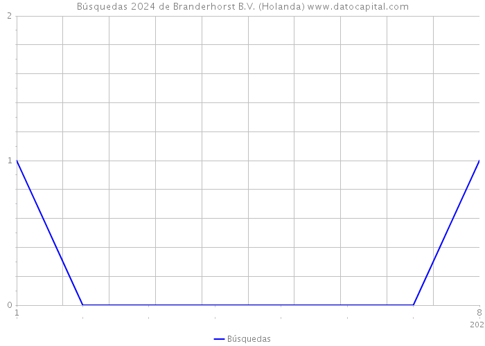Búsquedas 2024 de Branderhorst B.V. (Holanda) 