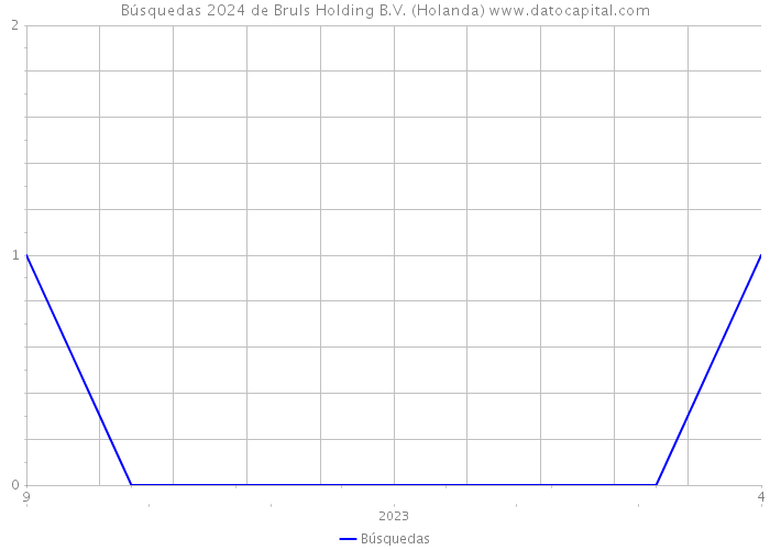 Búsquedas 2024 de Bruls Holding B.V. (Holanda) 