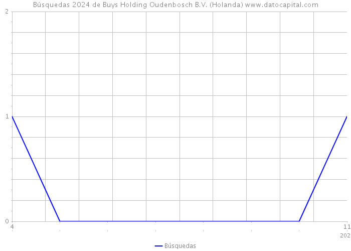 Búsquedas 2024 de Buys Holding Oudenbosch B.V. (Holanda) 