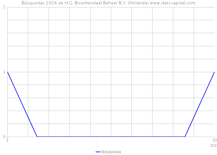 Búsquedas 2024 de H.G. Bloemendaal Beheer B.V. (Holanda) 