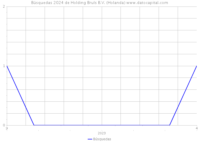 Búsquedas 2024 de Holding Bruls B.V. (Holanda) 