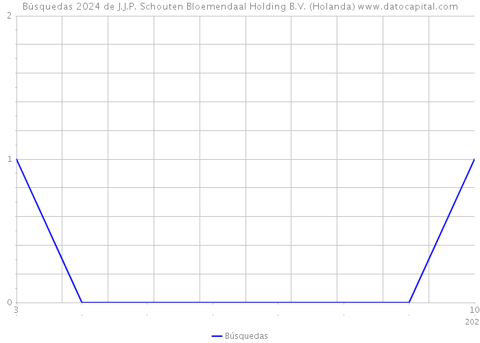 Búsquedas 2024 de J.J.P. Schouten Bloemendaal Holding B.V. (Holanda) 