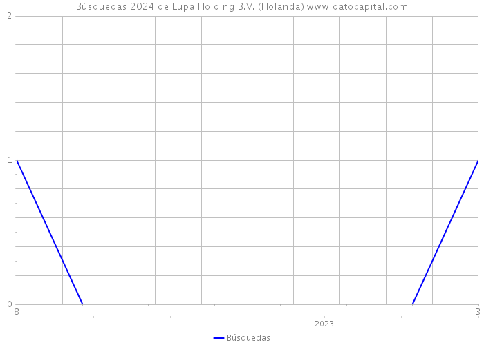 Búsquedas 2024 de Lupa Holding B.V. (Holanda) 