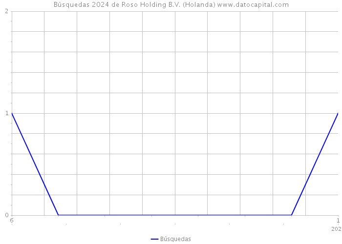Búsquedas 2024 de Roso Holding B.V. (Holanda) 