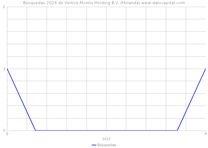 Búsquedas 2024 de Vertice Montis Holding B.V. (Holanda) 