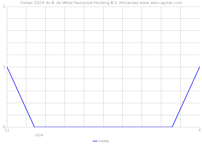 Visitas 2024 de B. de Wilde Nunspeet Holding B.V. (Holanda) 