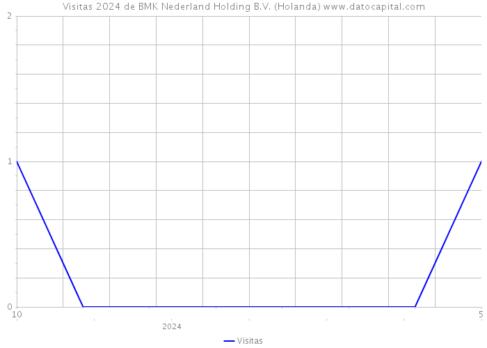 Visitas 2024 de BMK Nederland Holding B.V. (Holanda) 