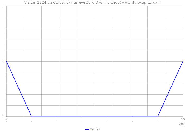 Visitas 2024 de Caress Exclusieve Zorg B.V. (Holanda) 