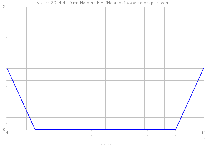 Visitas 2024 de Dims Holding B.V. (Holanda) 