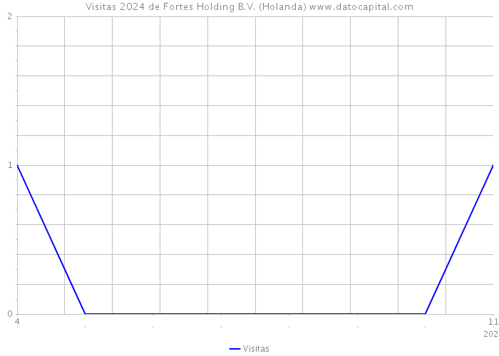 Visitas 2024 de Fortes Holding B.V. (Holanda) 