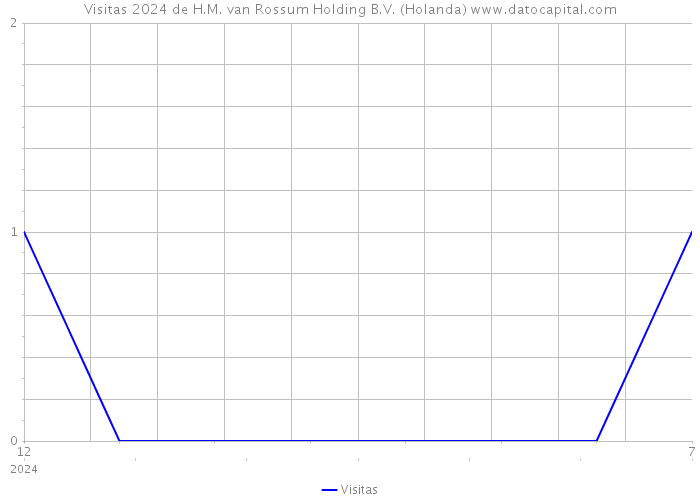 Visitas 2024 de H.M. van Rossum Holding B.V. (Holanda) 